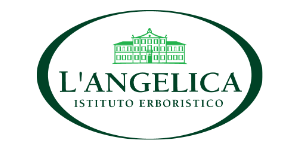L'Angelica